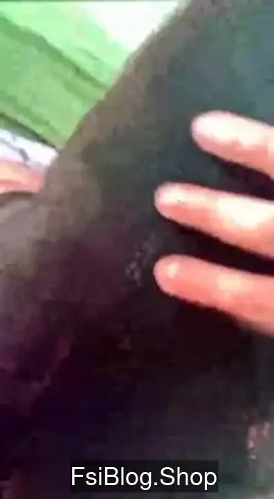 screenshot_4.webp